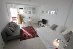 2016.02.05_app506_IMG_0233