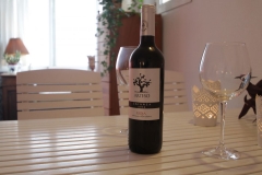 2016.02.05_app506_IMG_0473